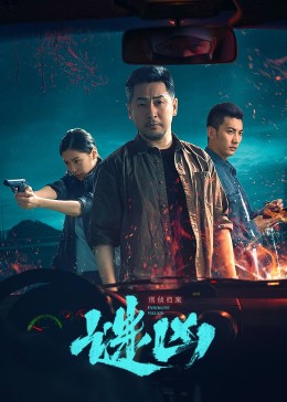 刑侦档案·谜凶第3集