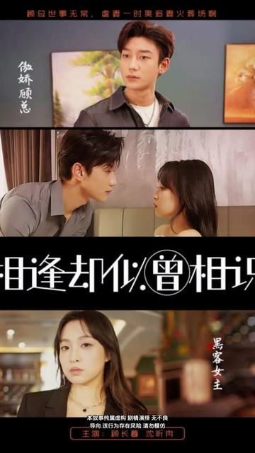 相逢却似曾相识41-60集