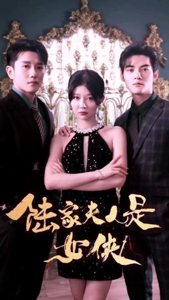 陆家夫人是女侠1-20集