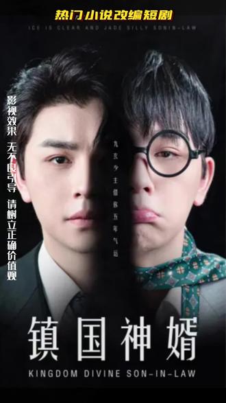 镇国神婿61-80集