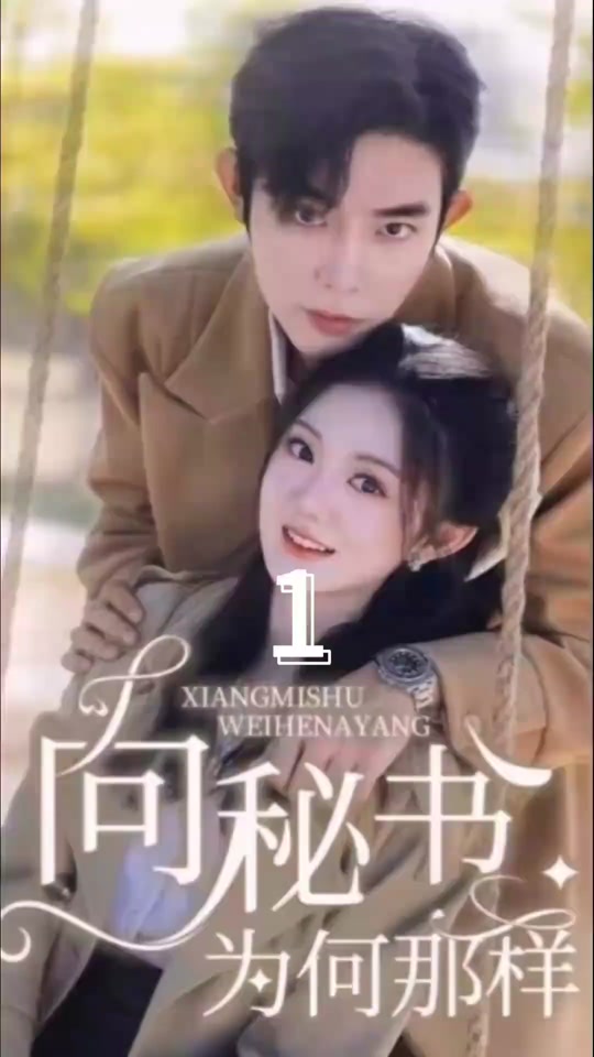 向秘书为何那样41-60集