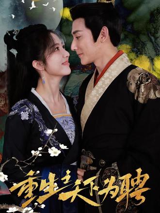 重生之天下为娉81-100集