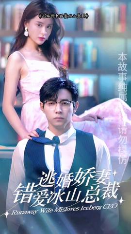 逃婚娇妻错爱冰山总裁1-20集