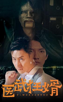 医武狂婿21-40集