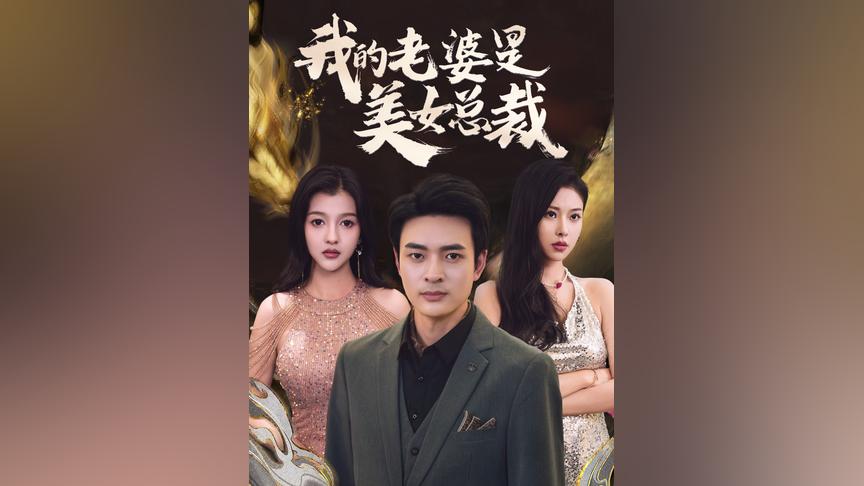 (新)我的老婆是美女总裁(大结局)