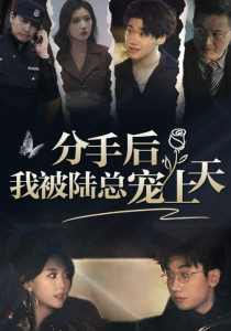分手后，我被陆总宠上天(大结局)