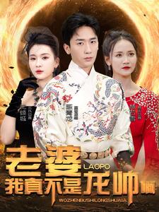 老婆我真不是龙帅啊(大结局)