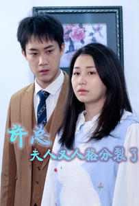 许总，夫人又人格分裂了(大结局)