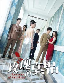 玫瑰的真相(大结局)