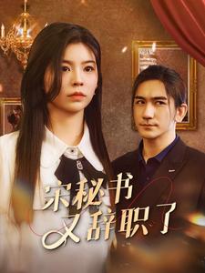 宋秘书又辞职了(大结局)