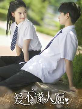 爱不遂人愿(大结局)