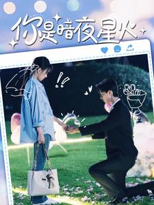 你是暗夜星火(大结局)