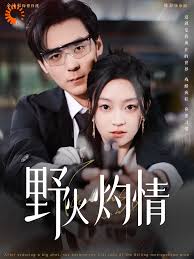 野火灼情(大结局)