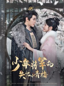 少年将军的失忆小青梅(全集)