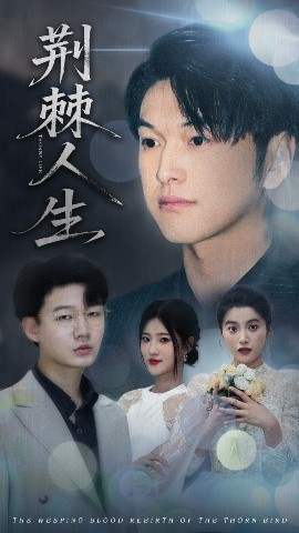 荆棘人生(全集)