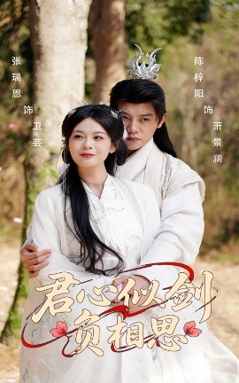 君心似剑负相思(全集)