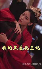 我的黑莲花王妃第2集